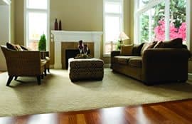 carpet cleaning and protection