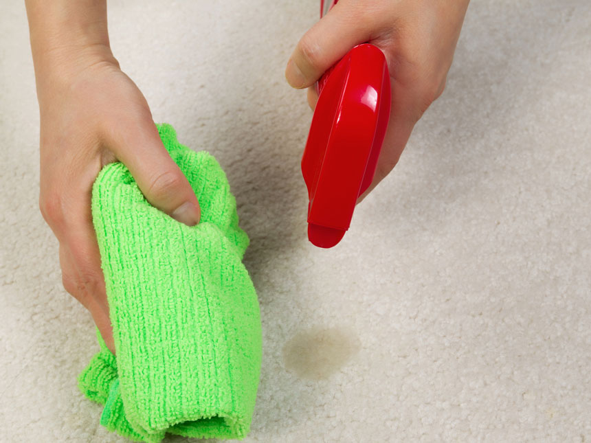 Carpets and Rugs