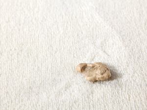 How to Remove Chewing Gum from Carpet